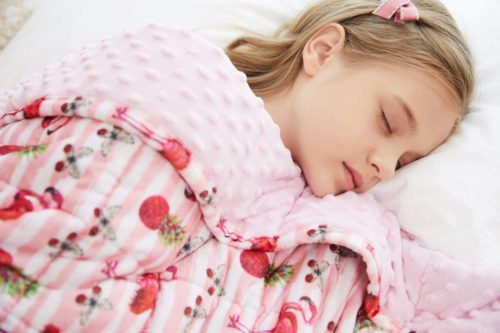 Most Comfortable Blanket For Kids 7 Top Reviewed Products