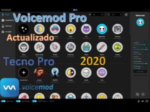 voicemod pro key buy